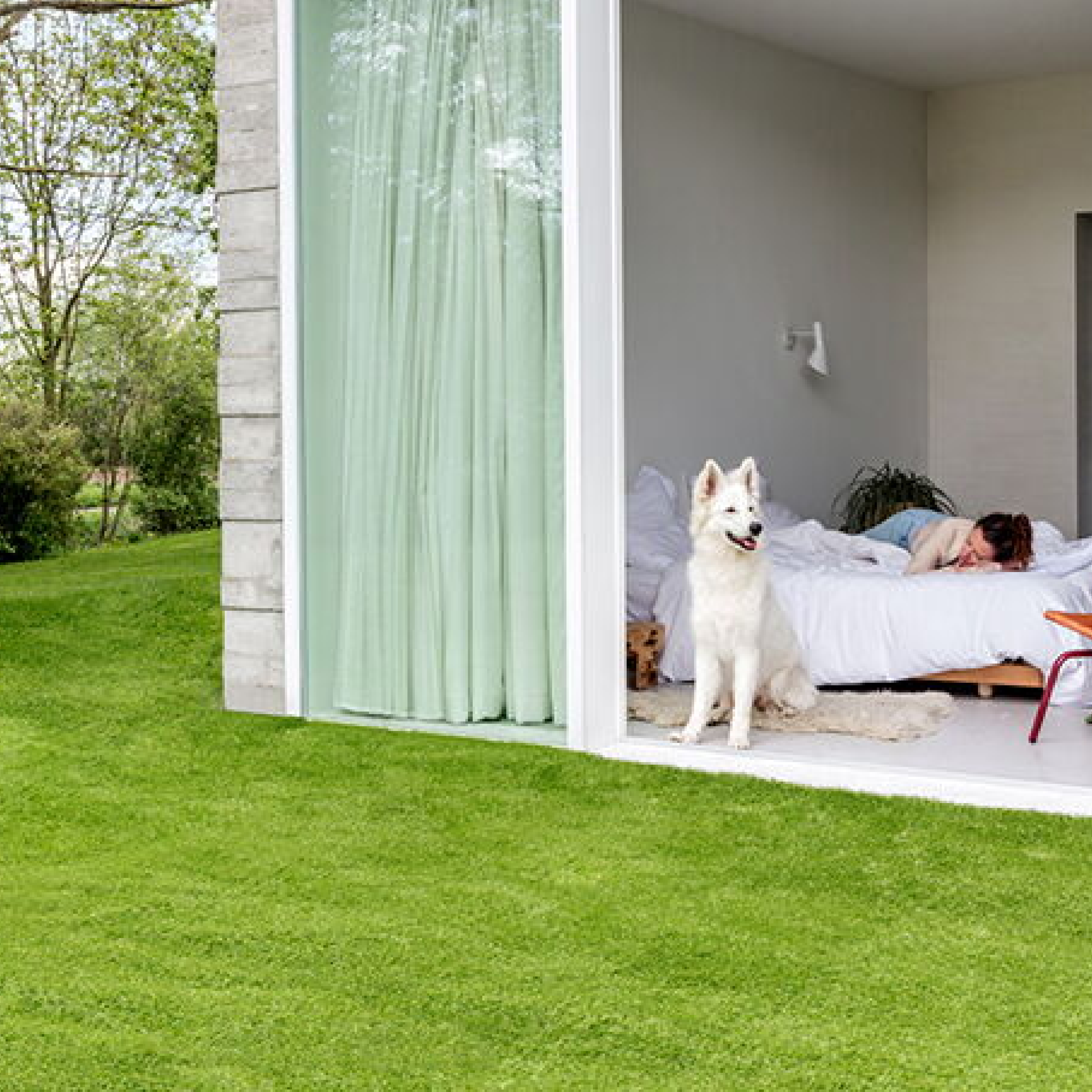 Sols : Revêtements Robustes pour vos Espaces Extérieurs | Comptoir de l’Ours