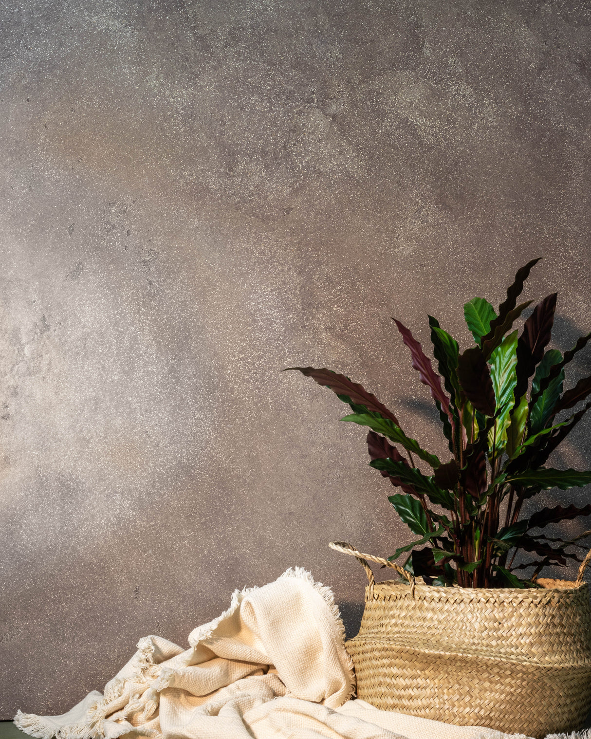 NOVACOLOR - Archi + Pietra (Revêtement mural à la chaux effet pierre)