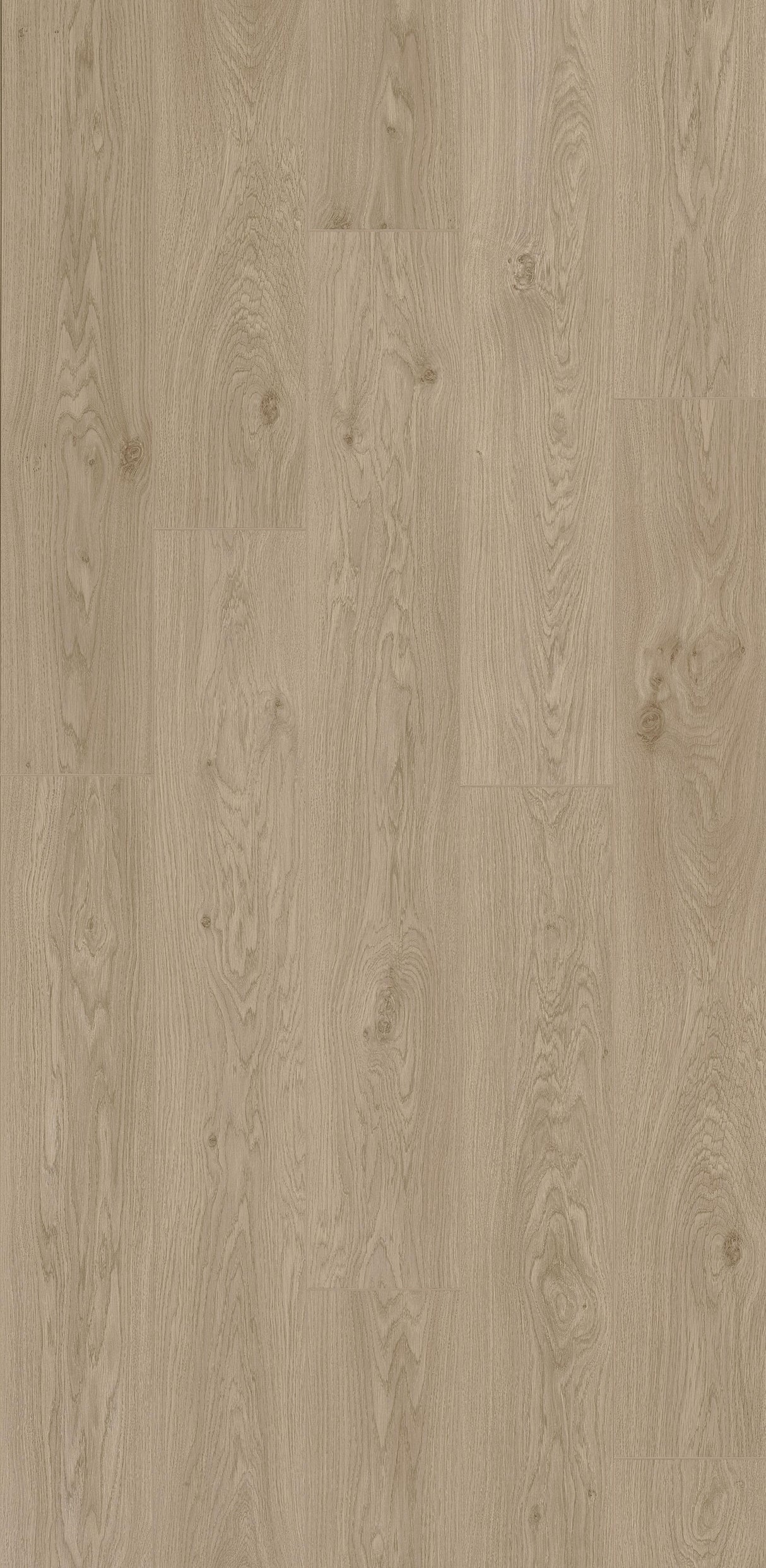 Stratifloor Hydro