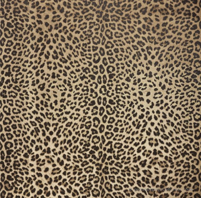 Papier peint effet léopard Dolce & Gabanna