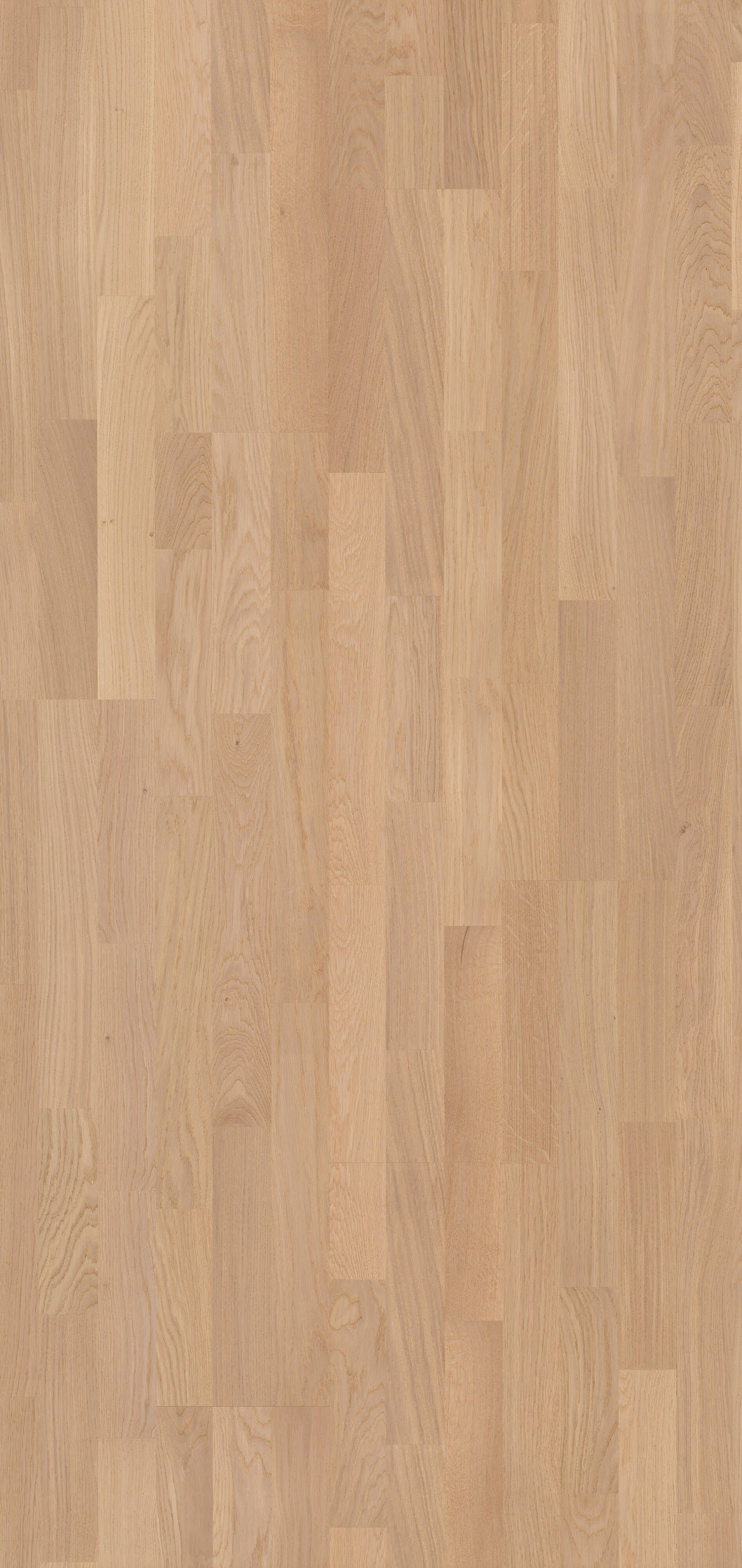 Solbois Concept 3 Frises