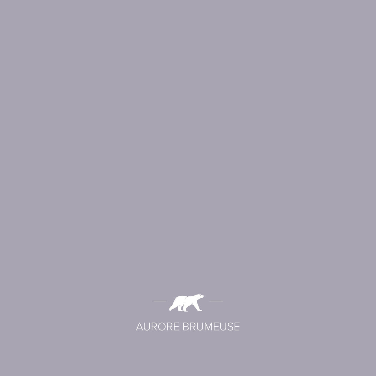 aurore-brumeuse | Mise en situation