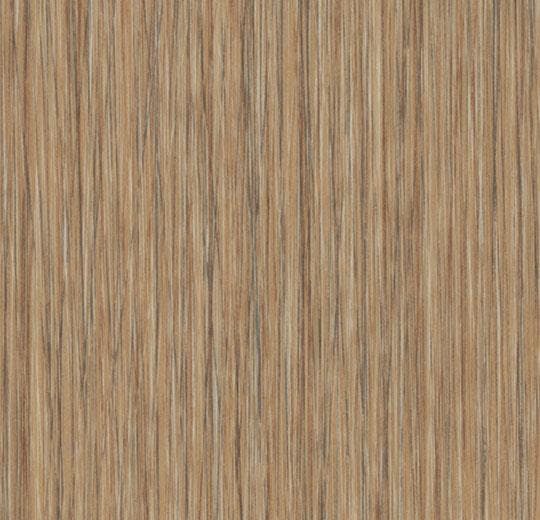 NATURAL SEAGRASS 61255  DR7