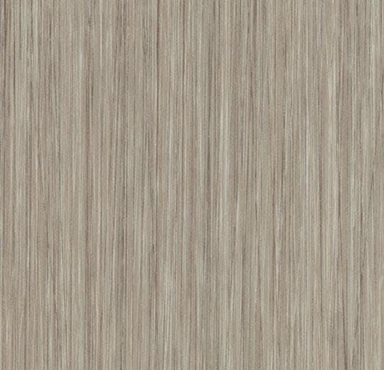 OYSTER SEAGRASS 61253  FL5