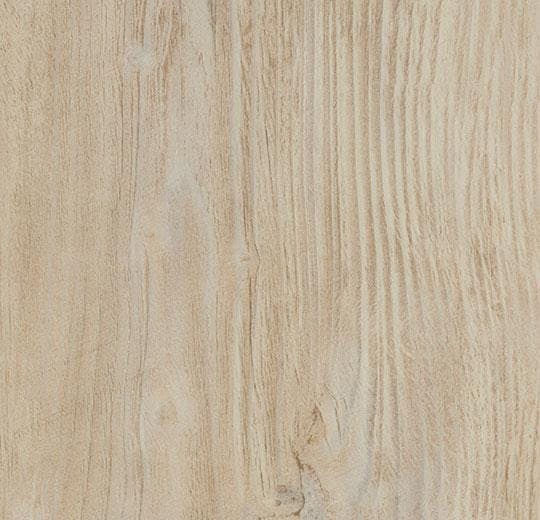 BLEACHED RUSTIC PINE 60084  DR5