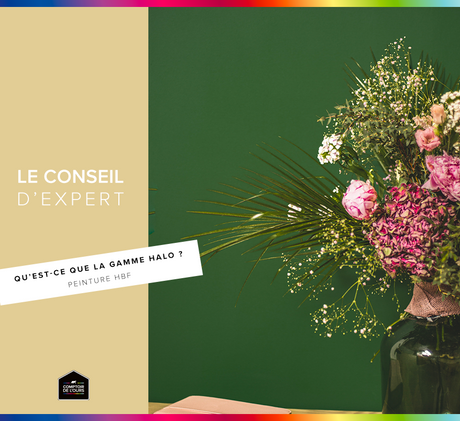 La gamme Halo pour peinture HBF