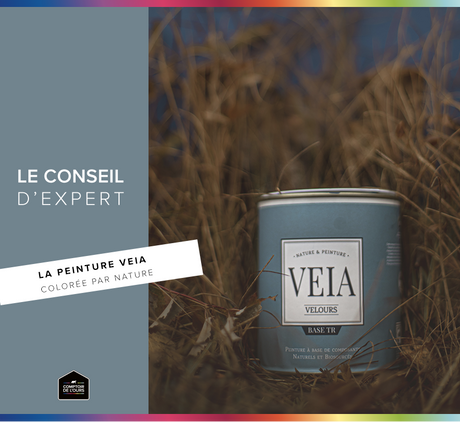 Veia peinture biosourcée