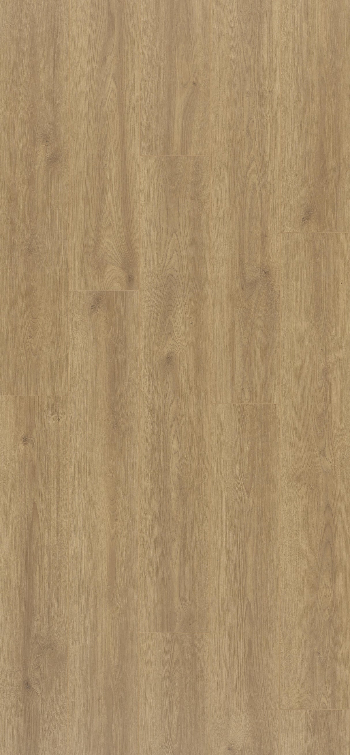 Stratifloor Hydro