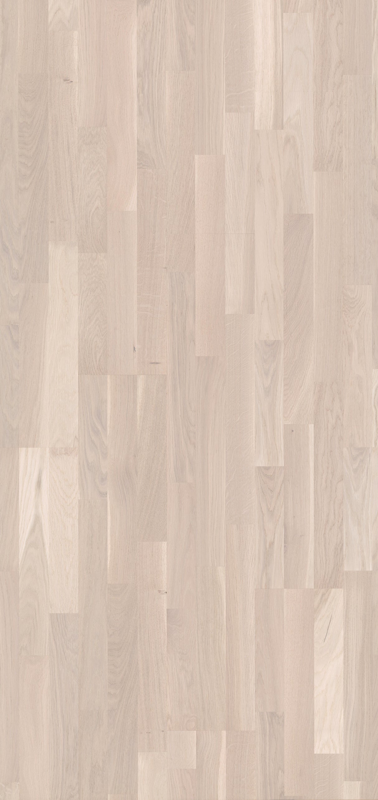 Solbois Concept 3 Frises