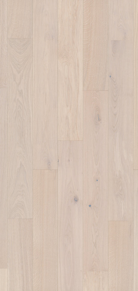 Solbois Concept monolame XL