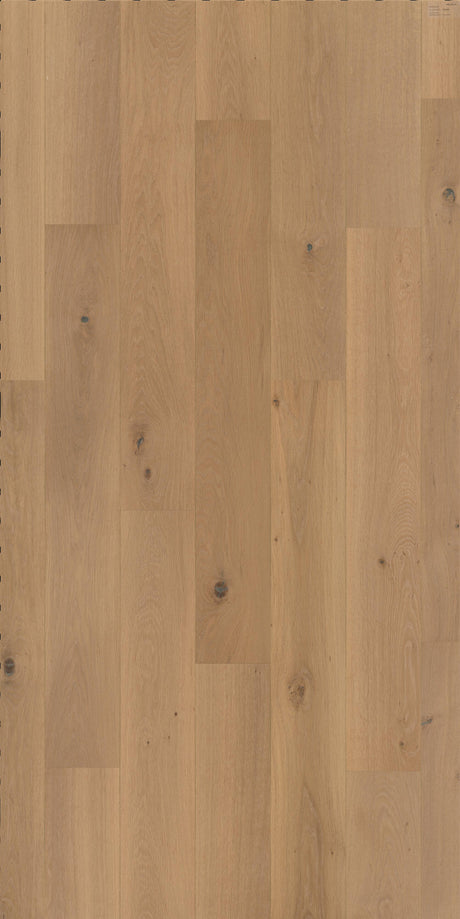 Solbois Concept monolame XL