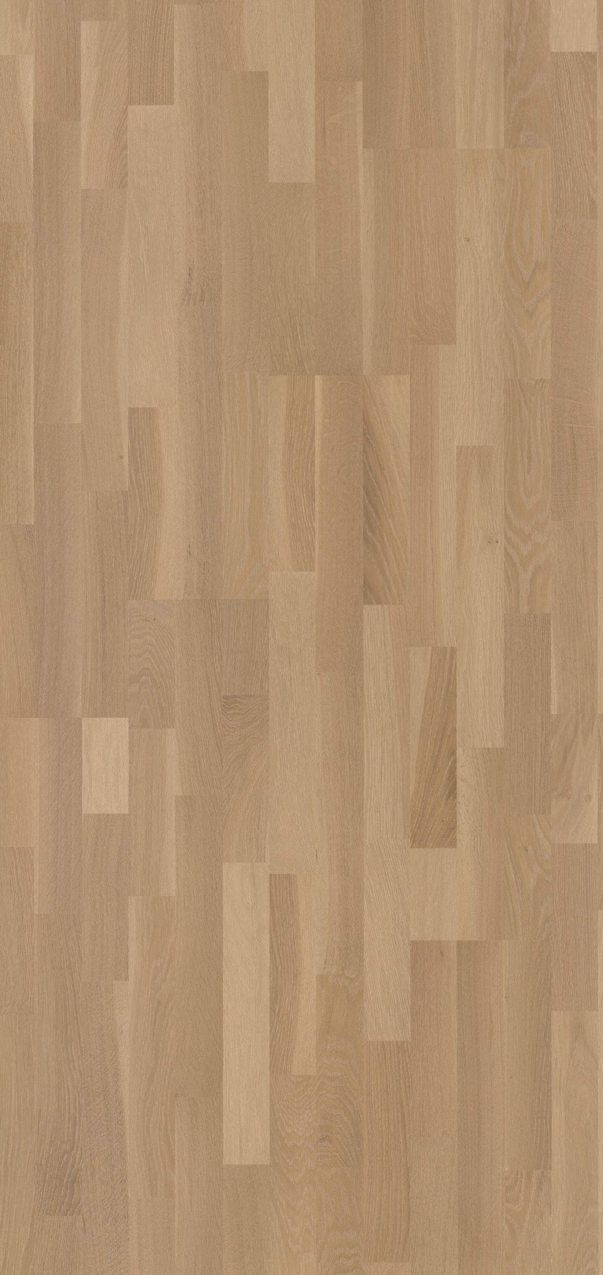 Solbois Concept 3 Frises