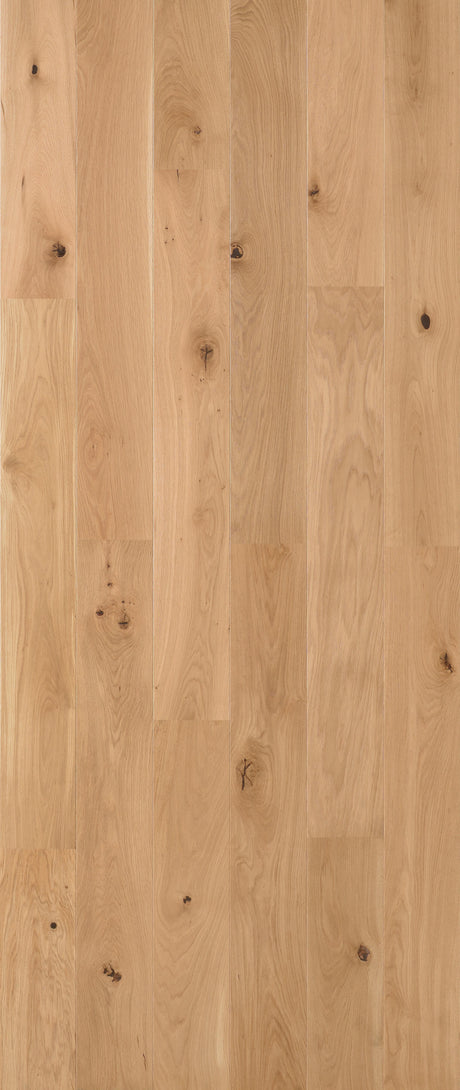 Solbois Concept monolame XL