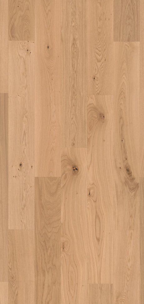 Solbois Concept monolame XL