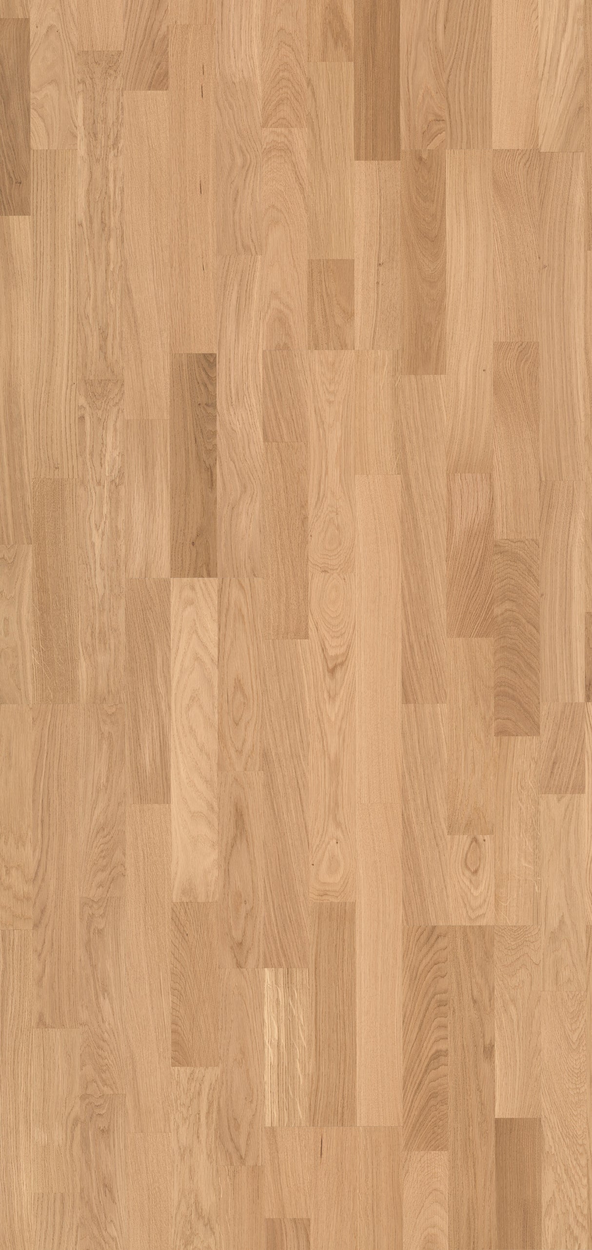 Solbois Concept 3 Frises