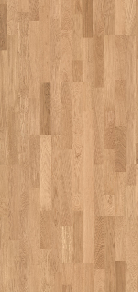 Solbois Concept 3 Frises