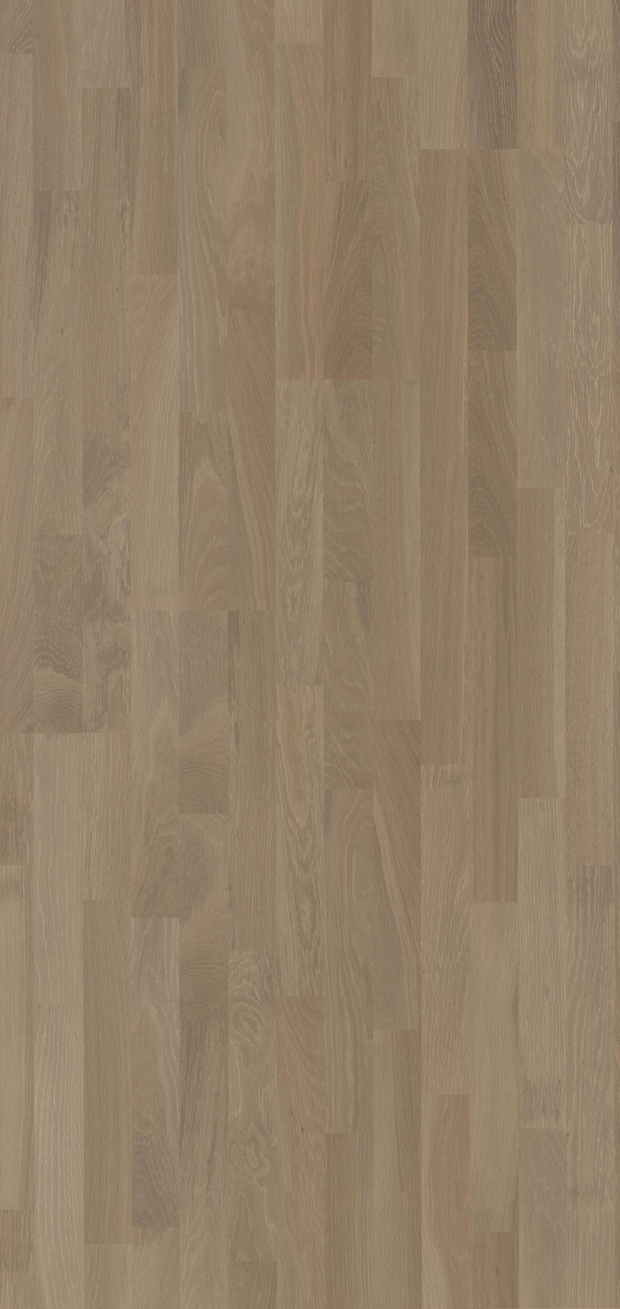 Solbois Concept 3 Frises