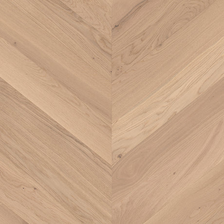 Solbois Concept Point de Hongrie