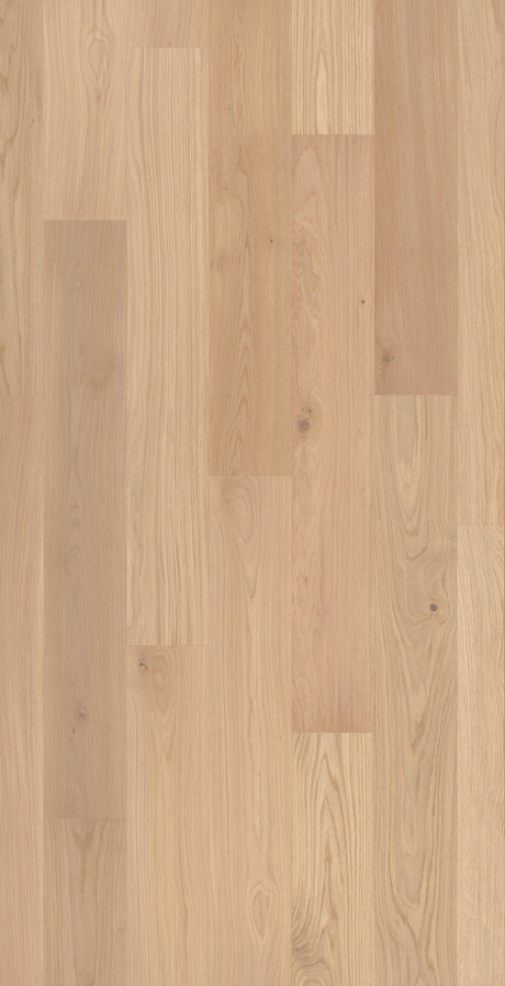 Solbois Concept monolame XL