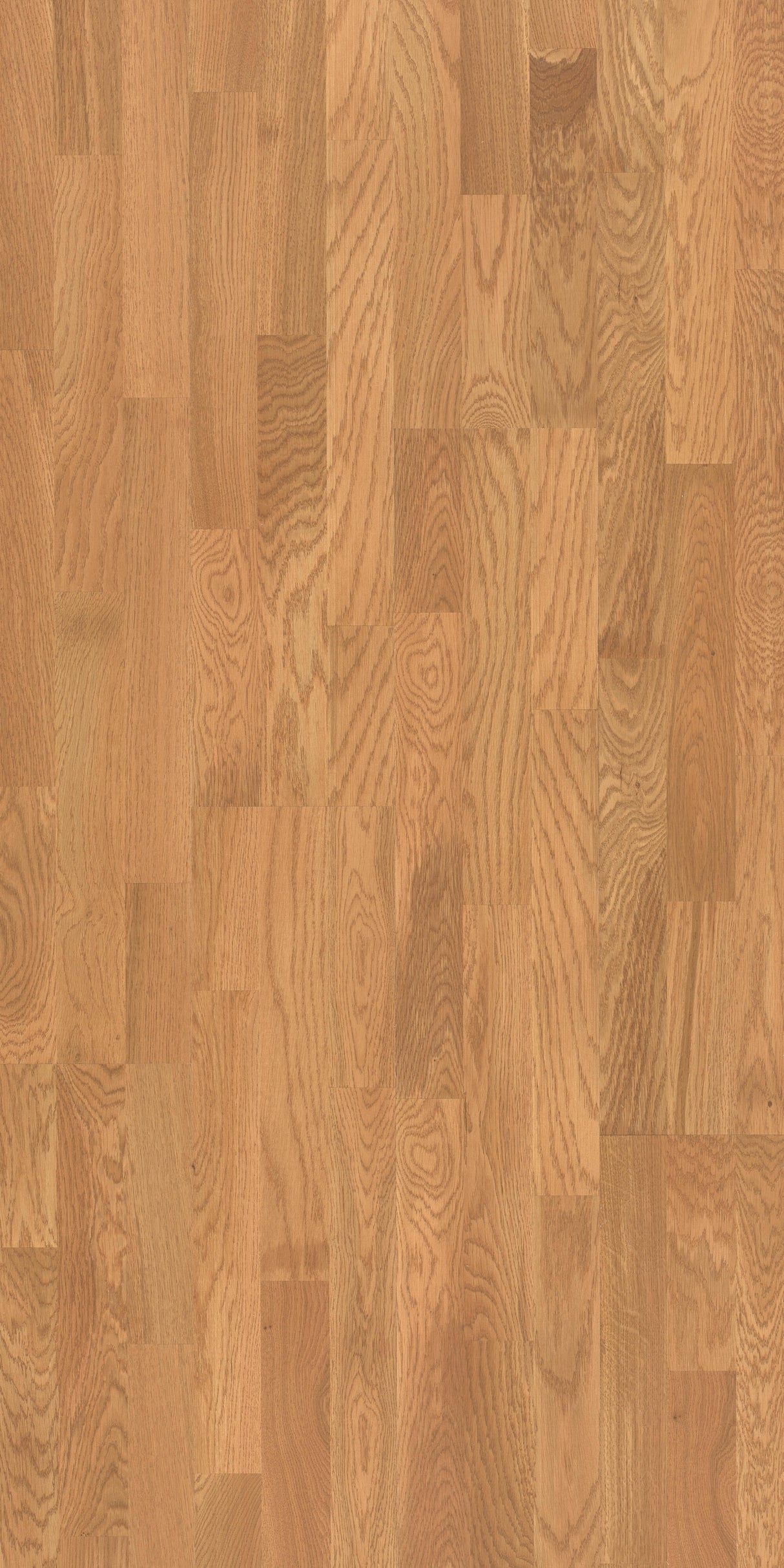 Solbois Concept 3 Frises