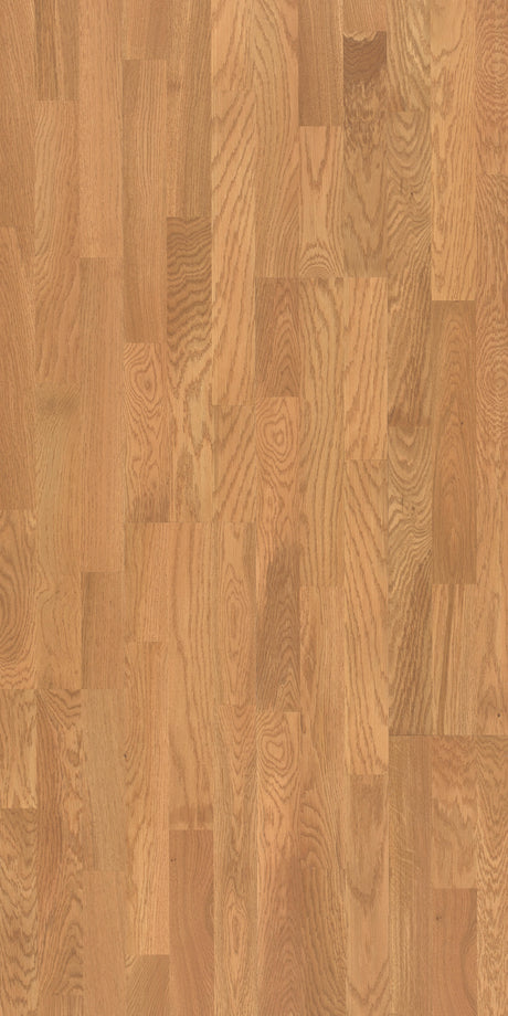 Solbois Concept 3 Frises