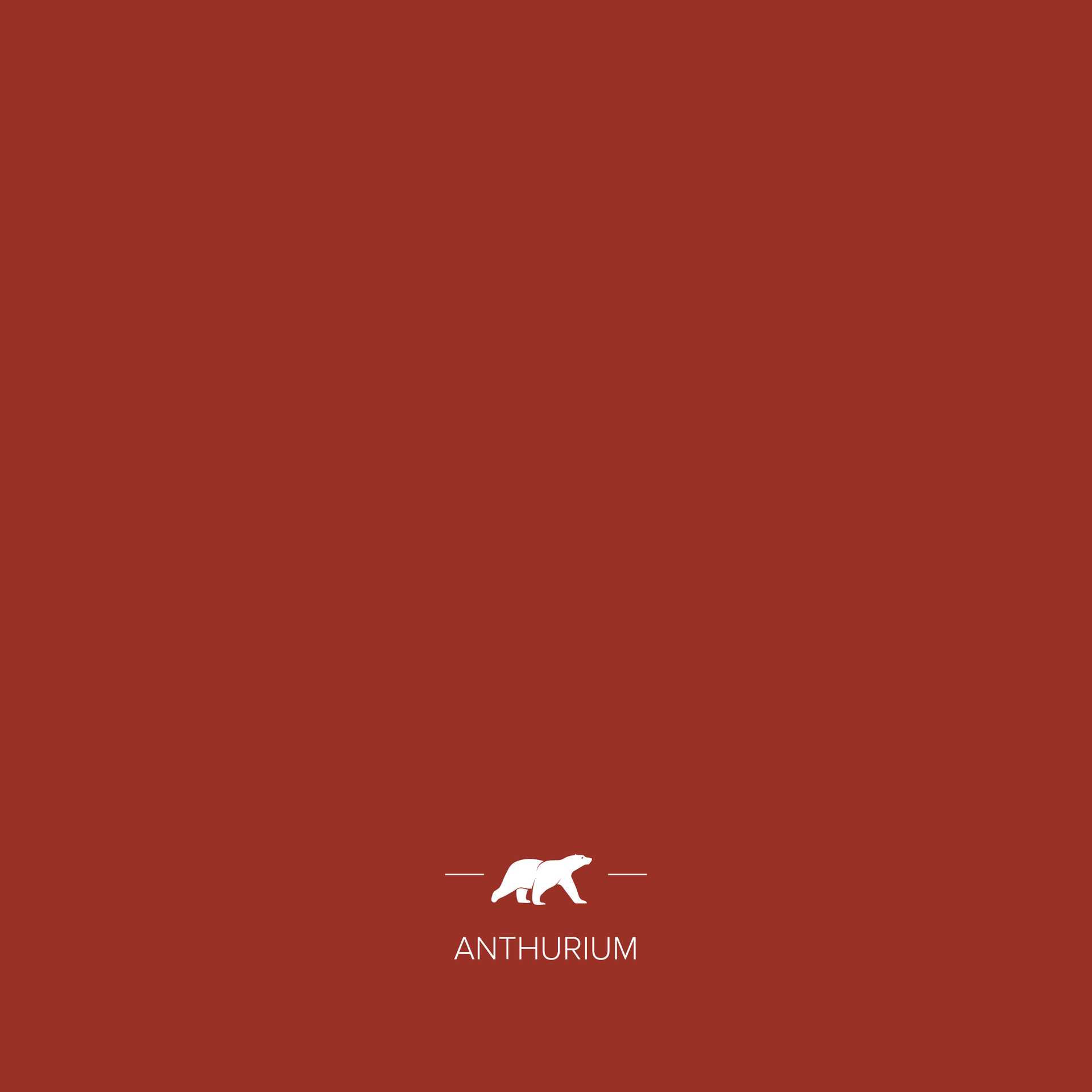 ANTHURIUM
