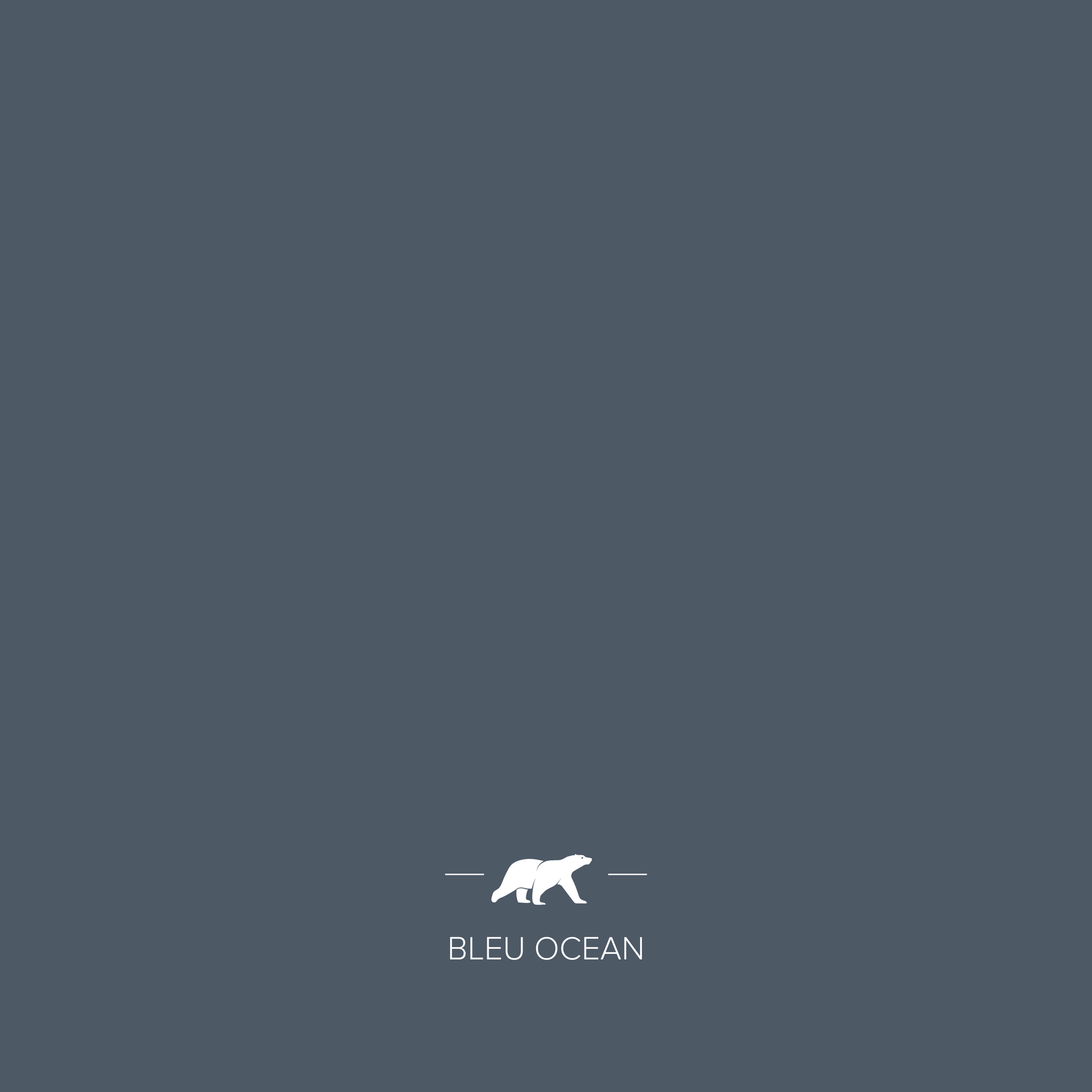 BLEU OCEAN
