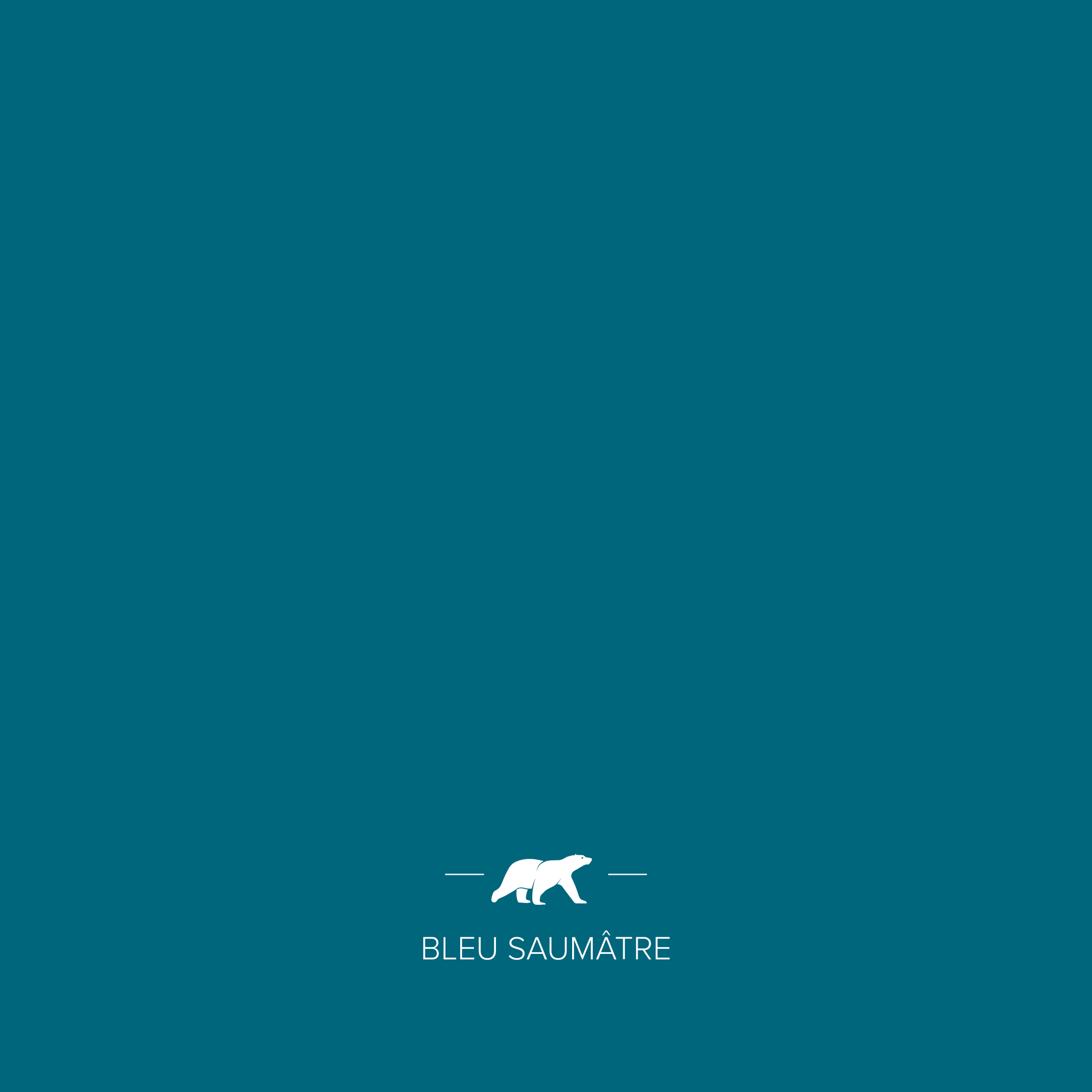BLEU SAUMÂTRE