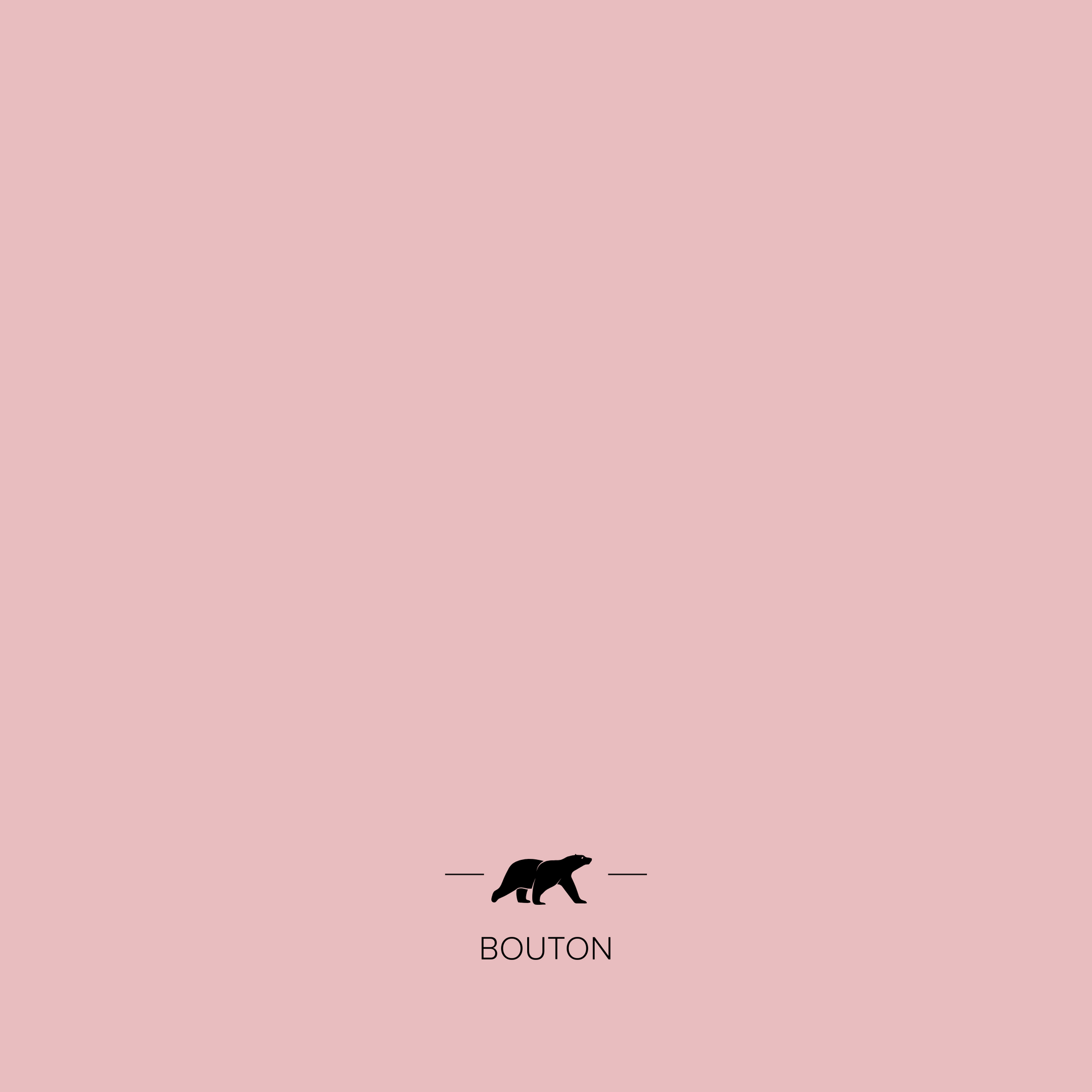 BOUTON