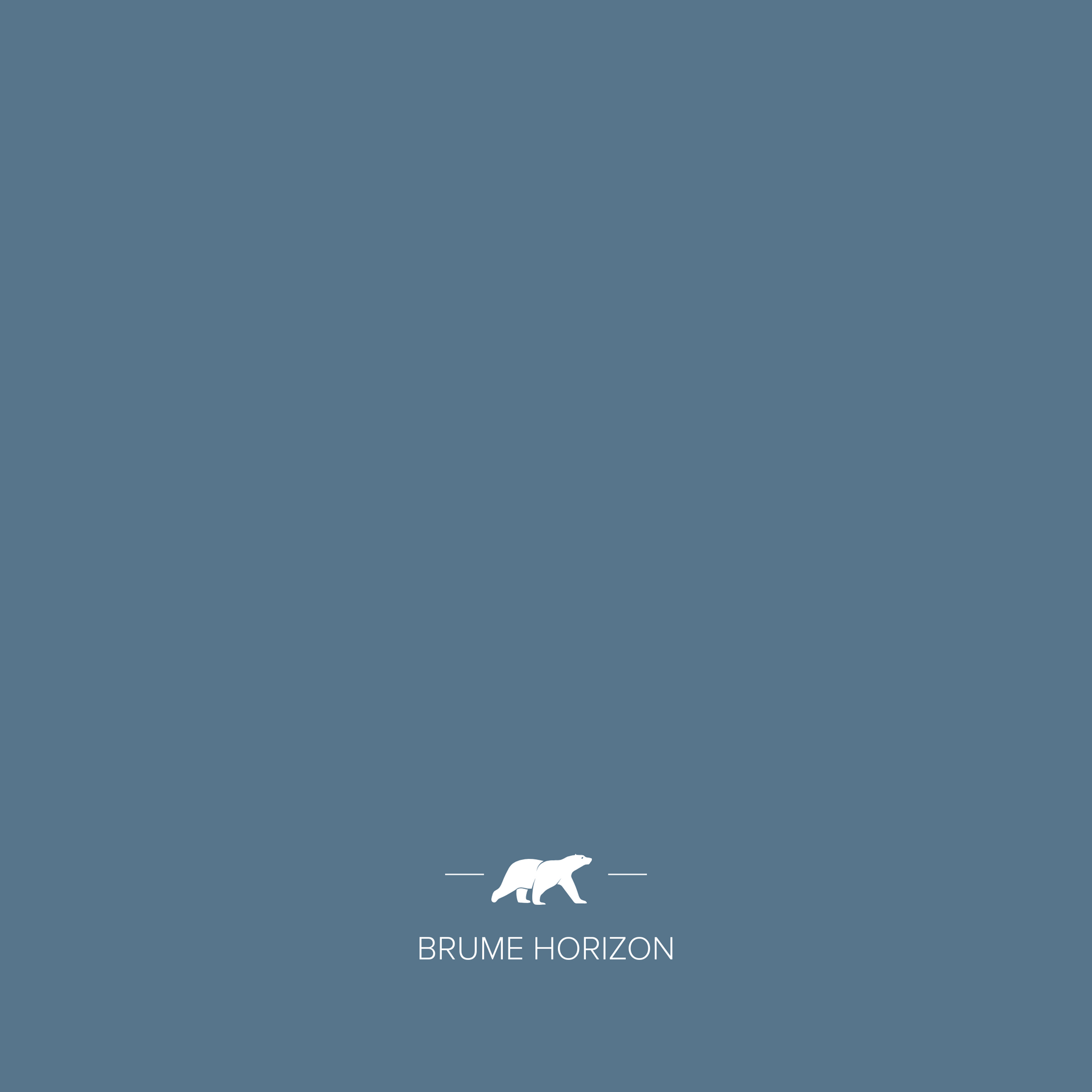 BRUME HORIZON
