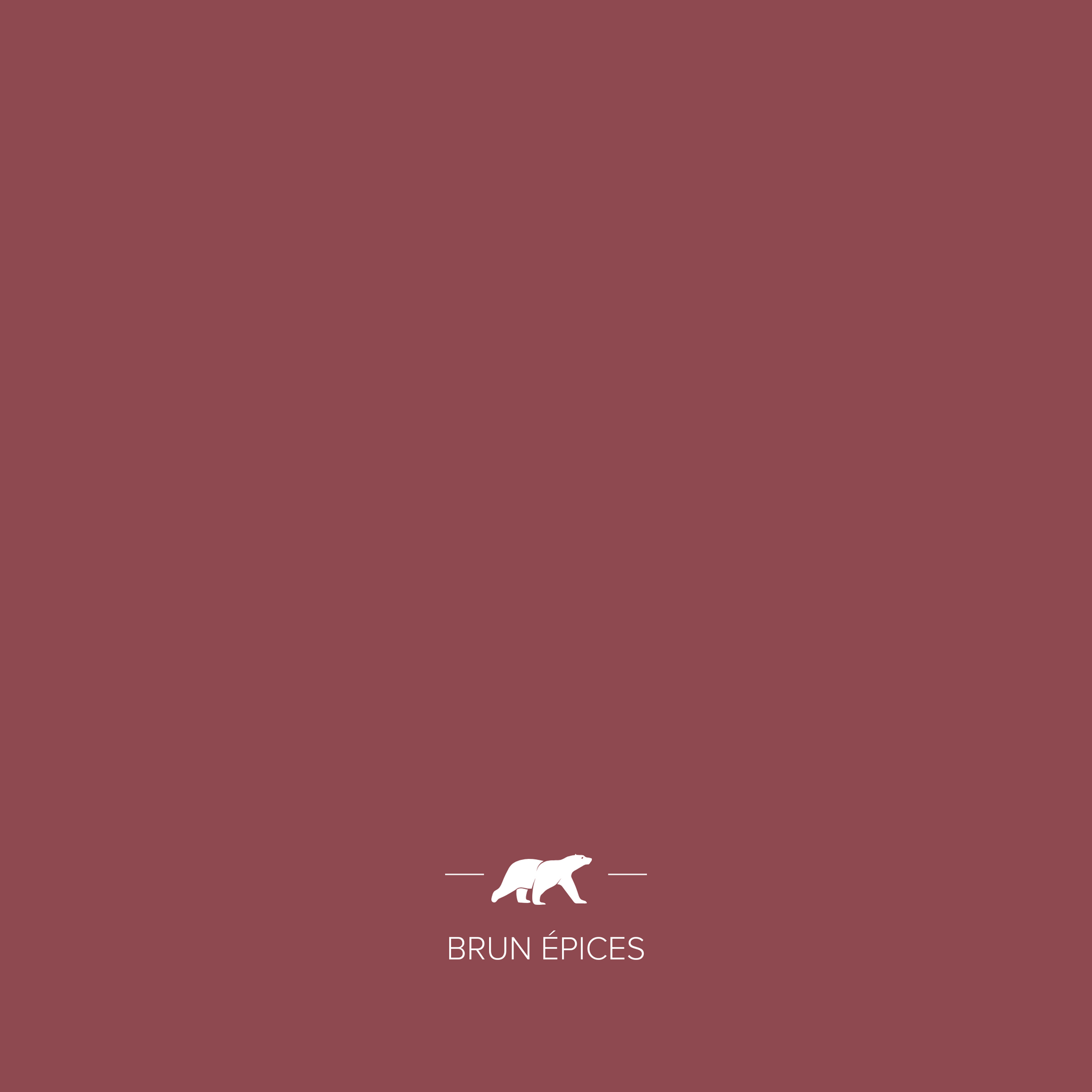BRUN ÉPICES