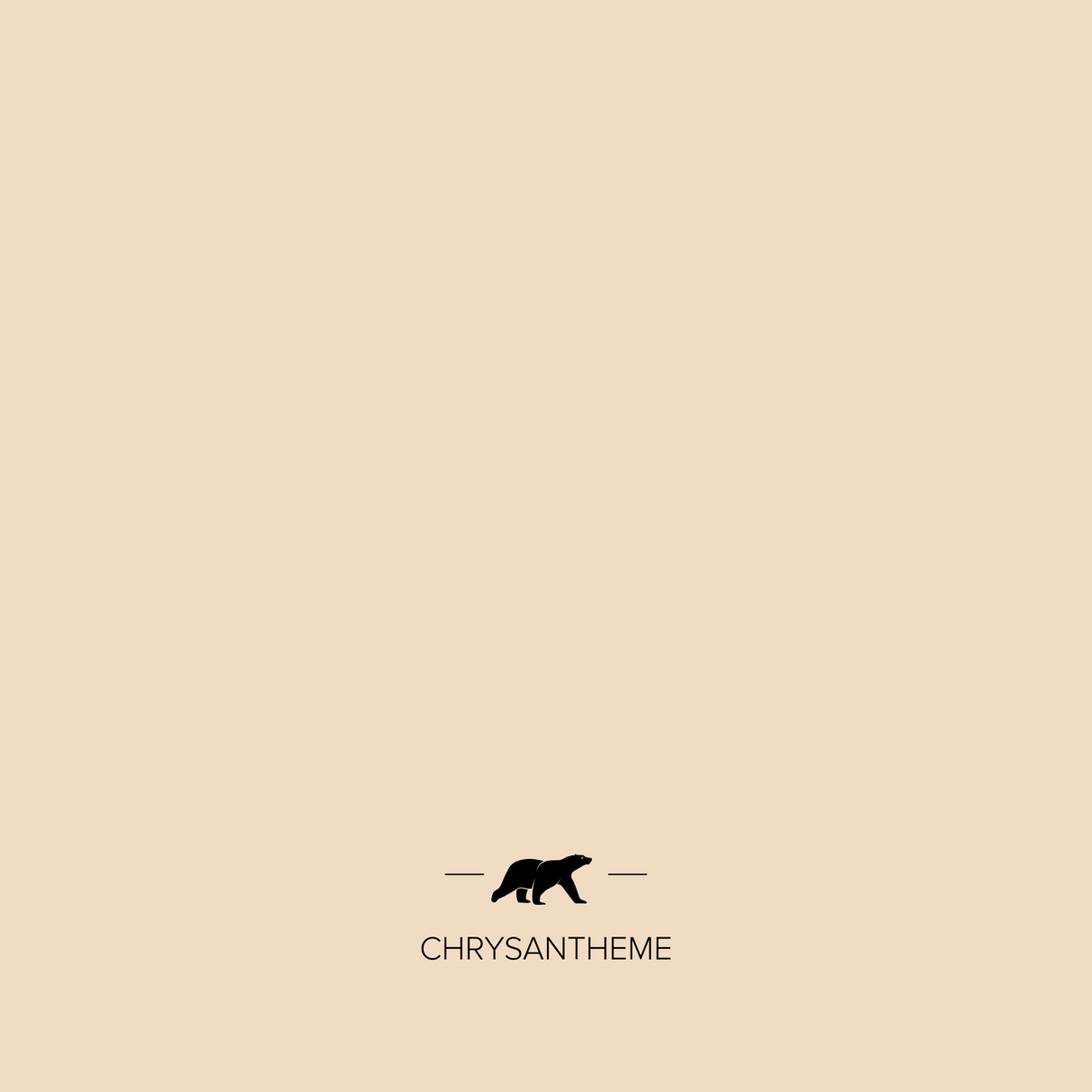 chrysantheme | Mise en situation