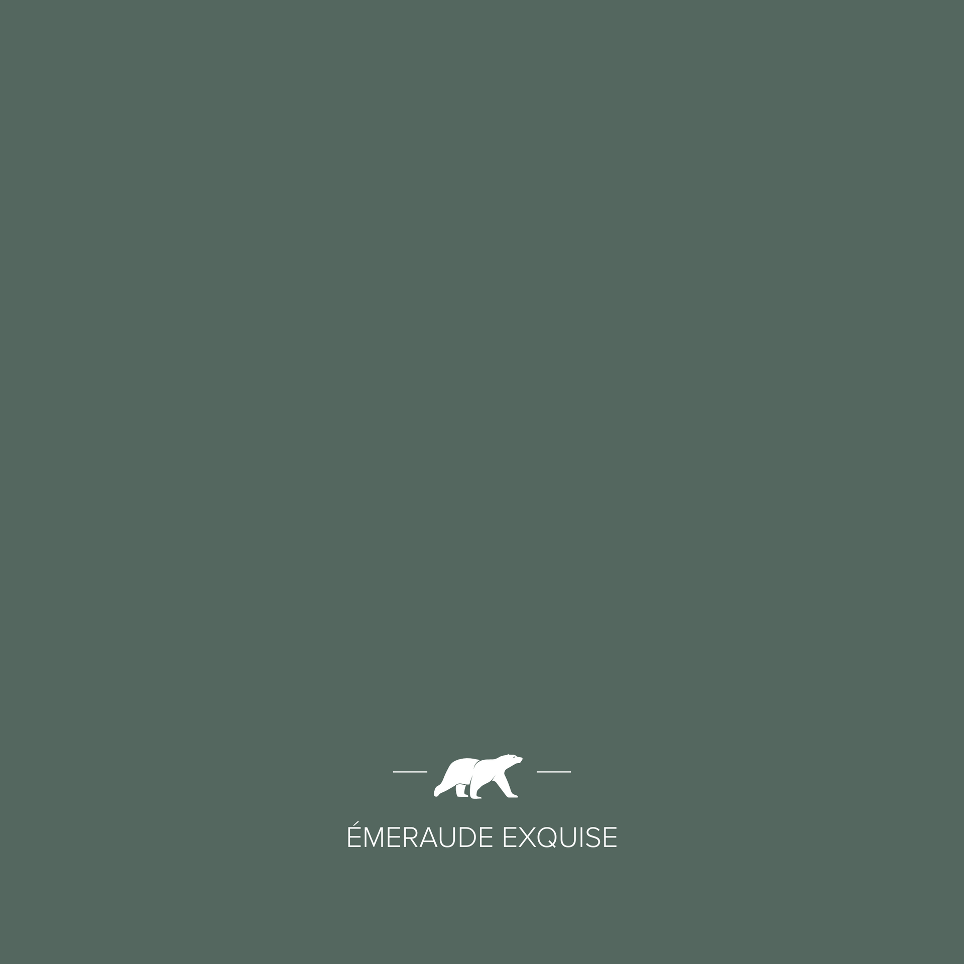 ÉMERAUDE EXQUISE