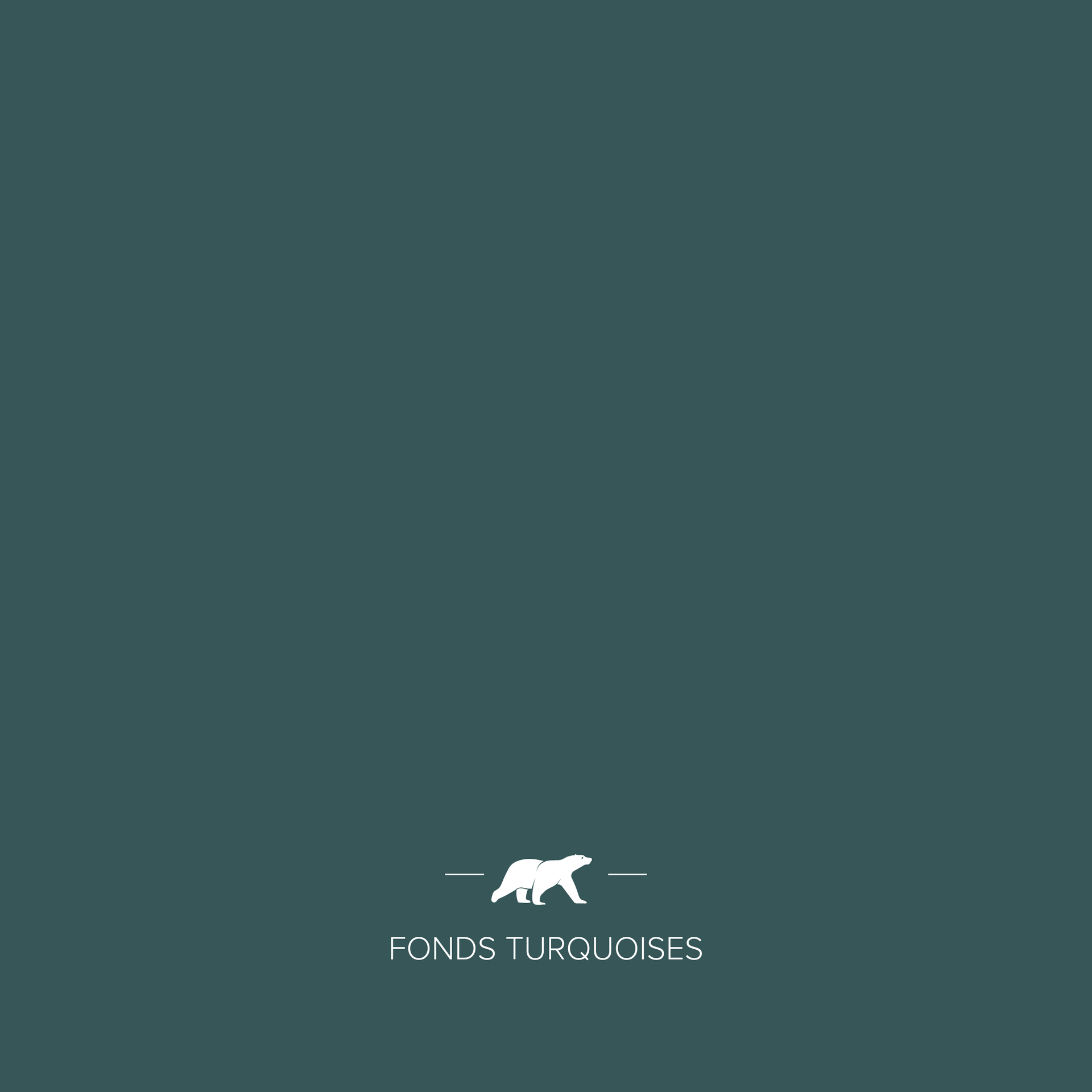FONDS TURQUOISES