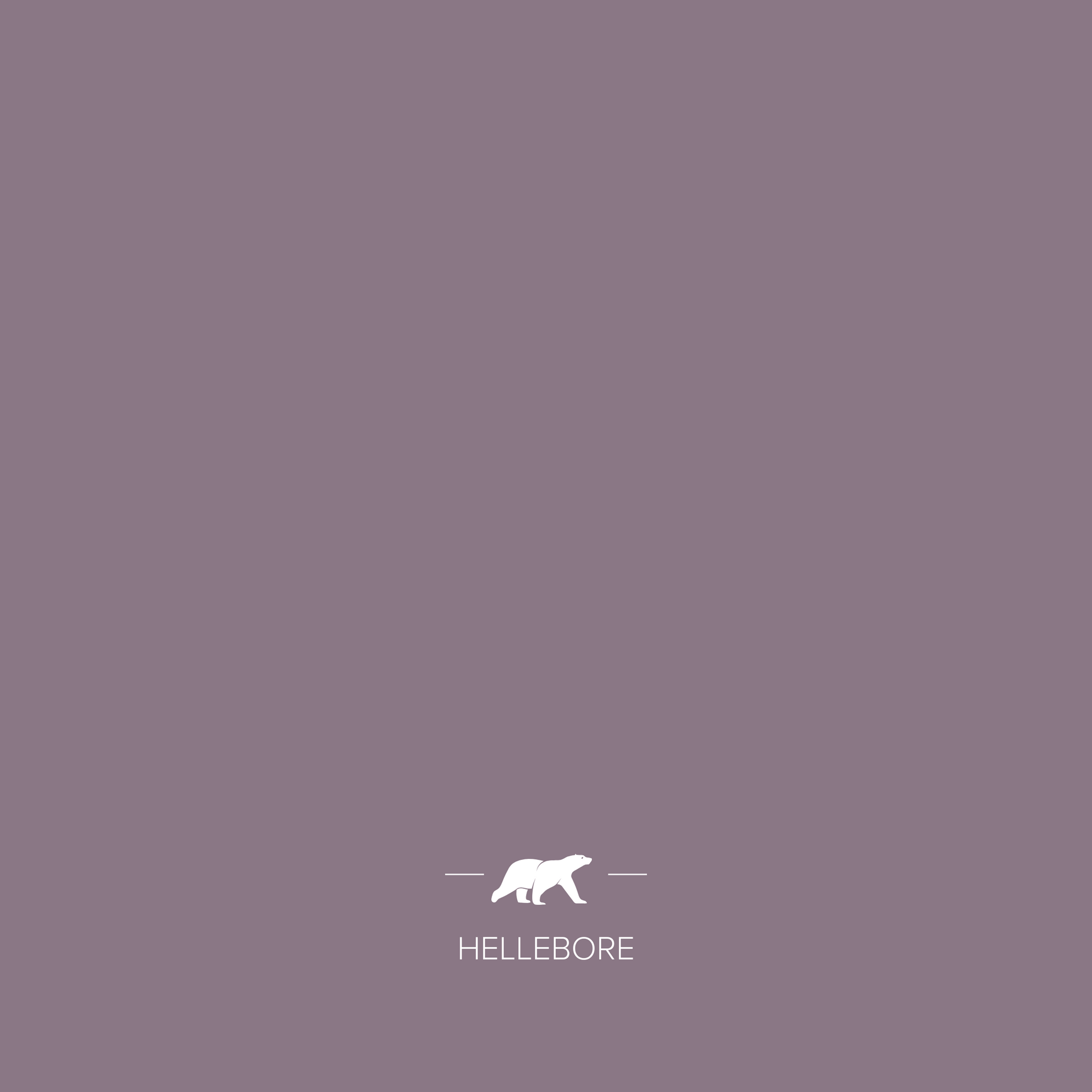 HELLEBORE