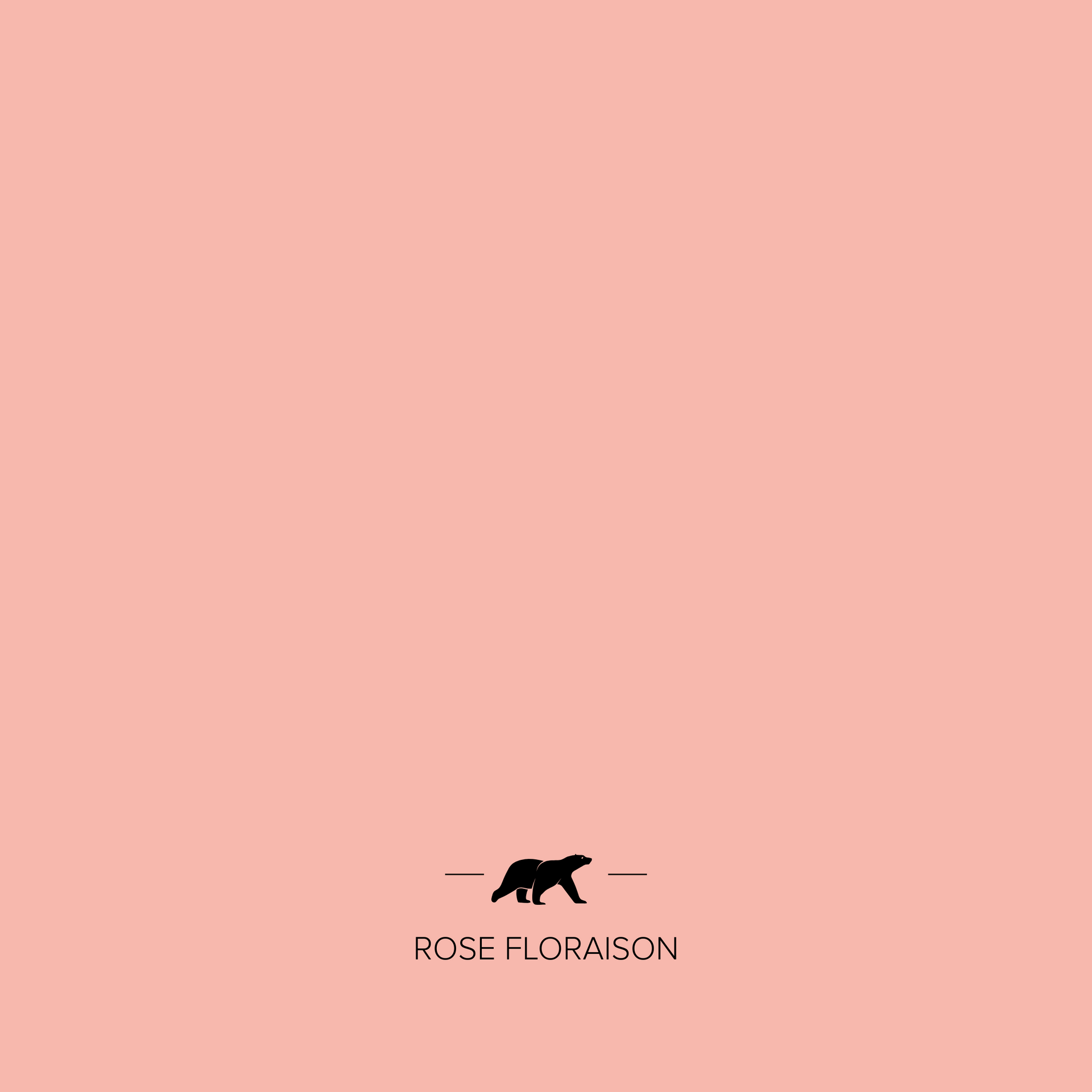 ROSE FLORAISON