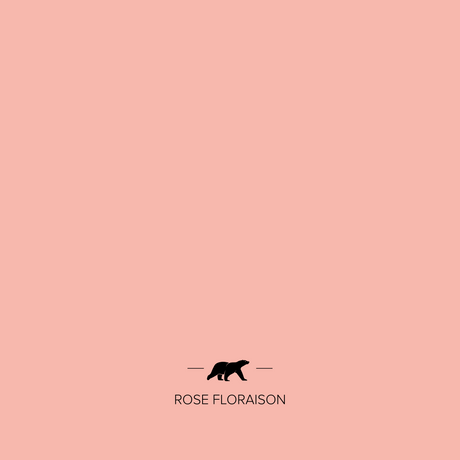 rose-floraison | Mise en situation
