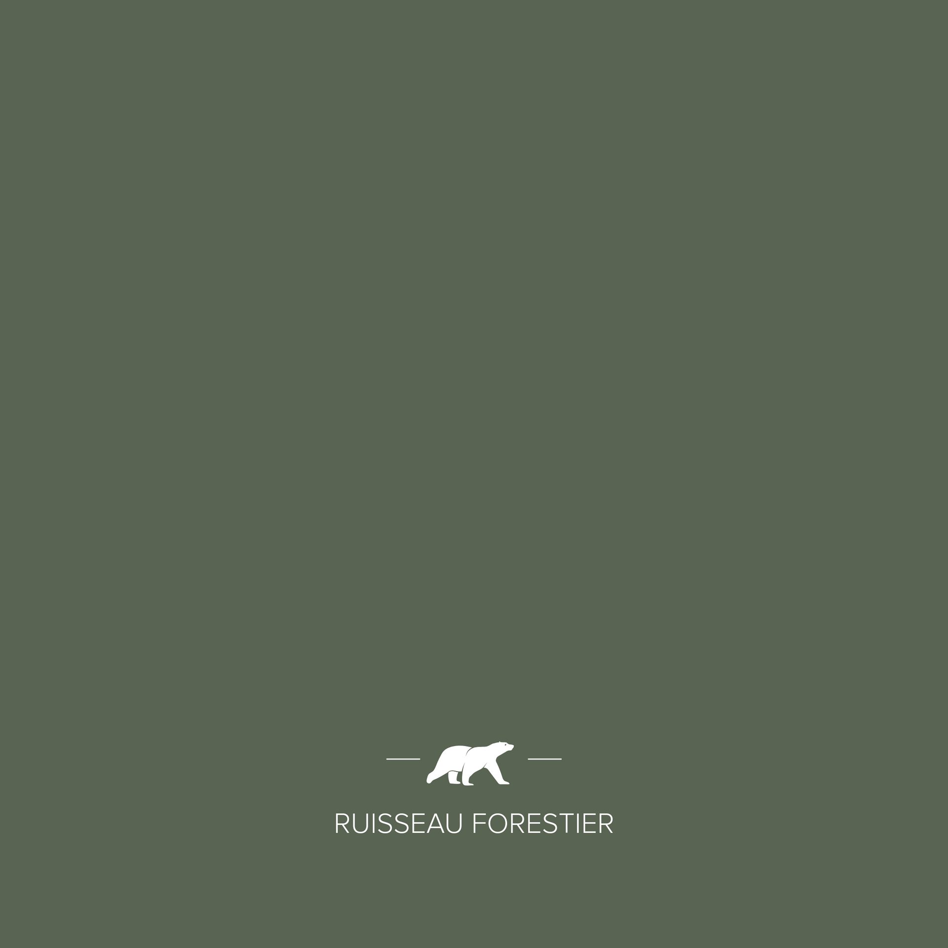 RUISSEAU FORESTIER