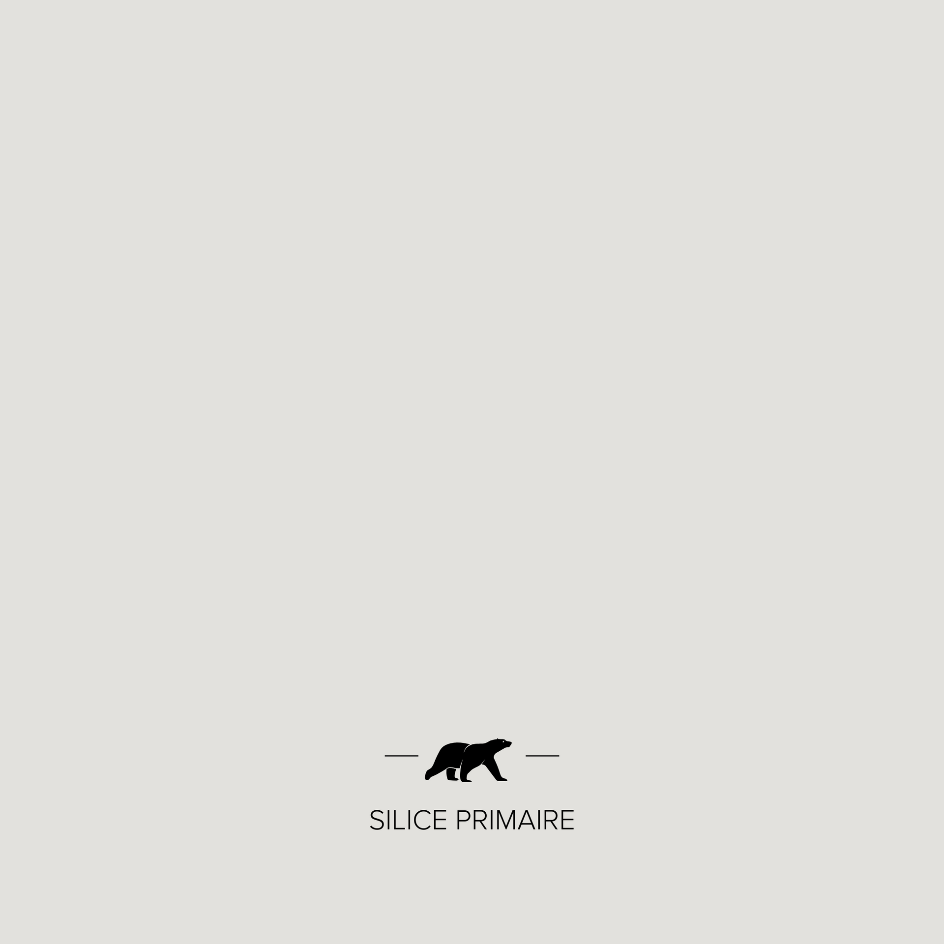SILICE PRIMAIRE