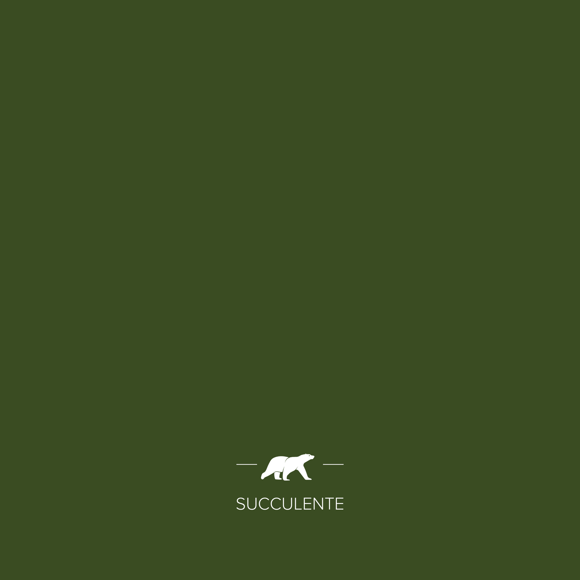 SUCCULENTE