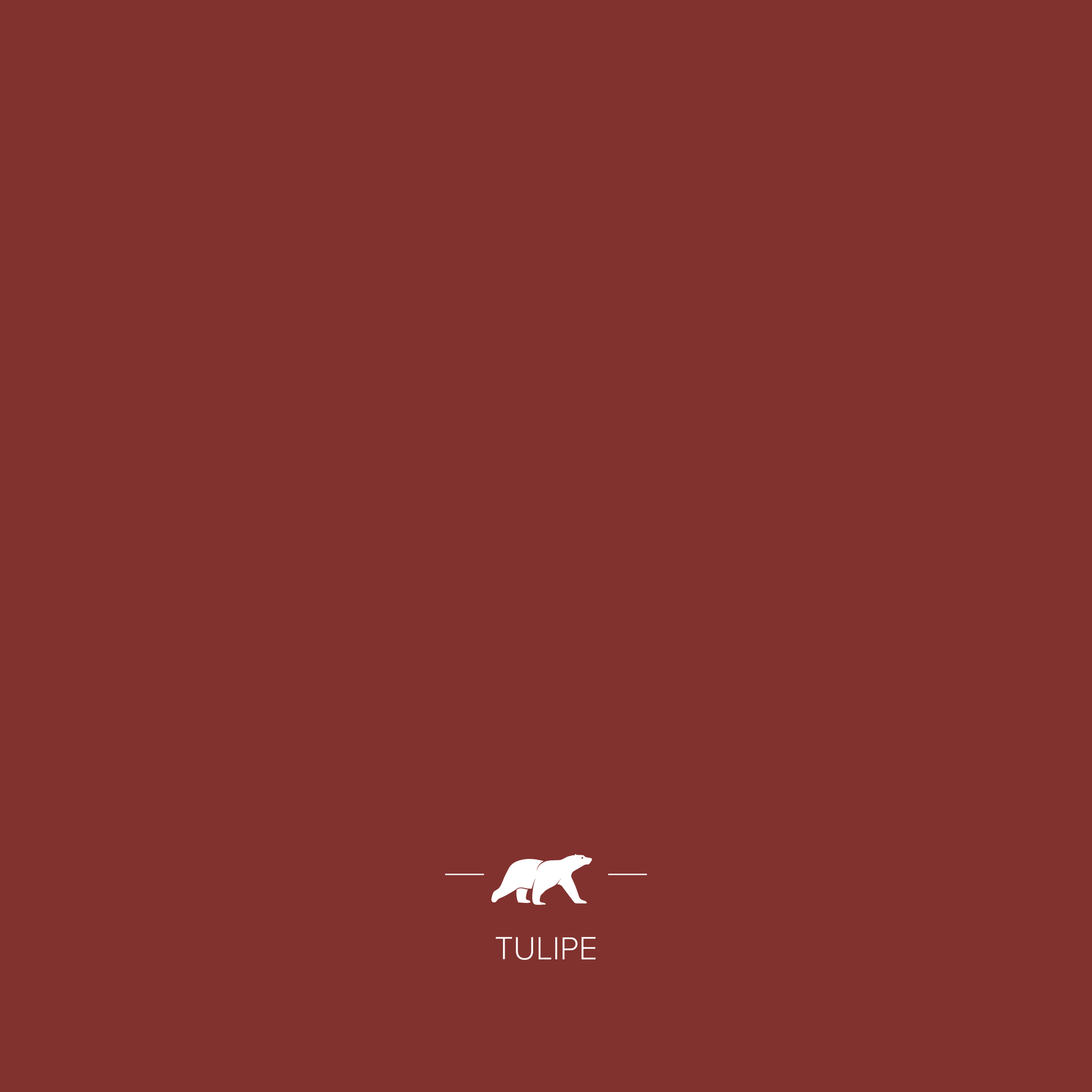 TULIPE