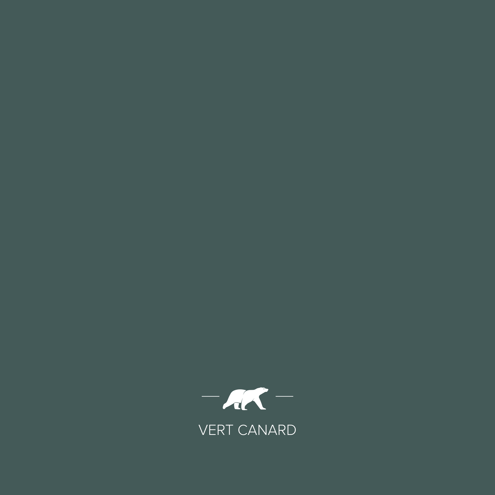 VERT CANARD