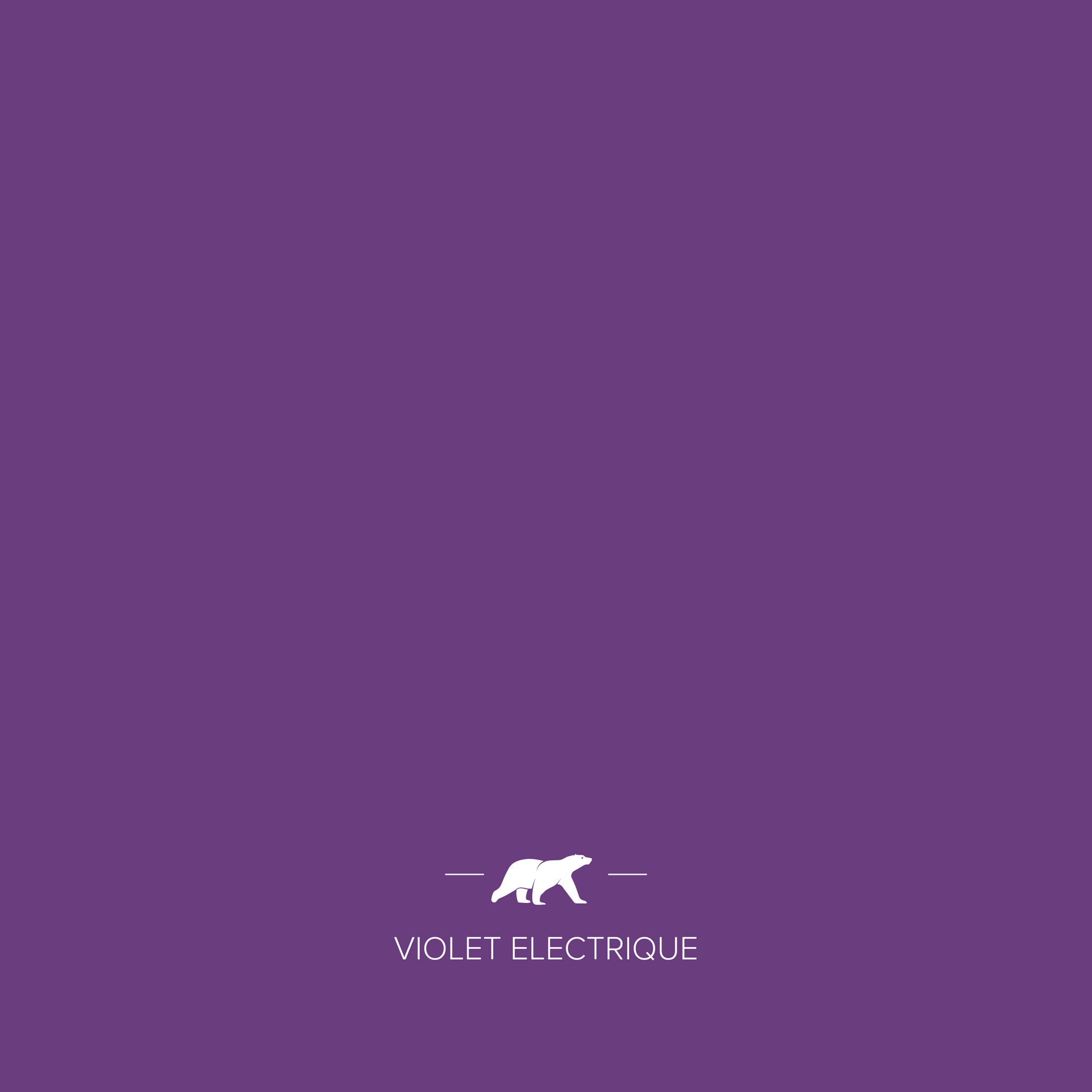 VIOLET ELECTRIQUE
