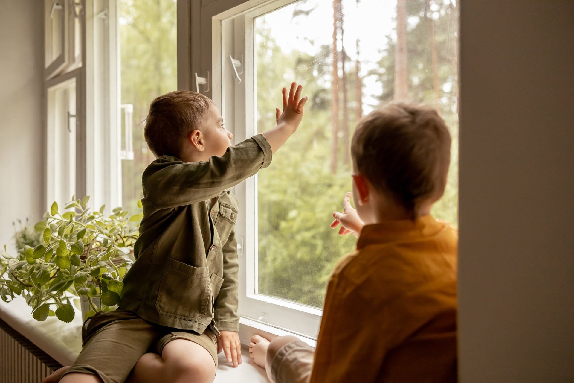 Film anti-choc pour protéger son habitat
