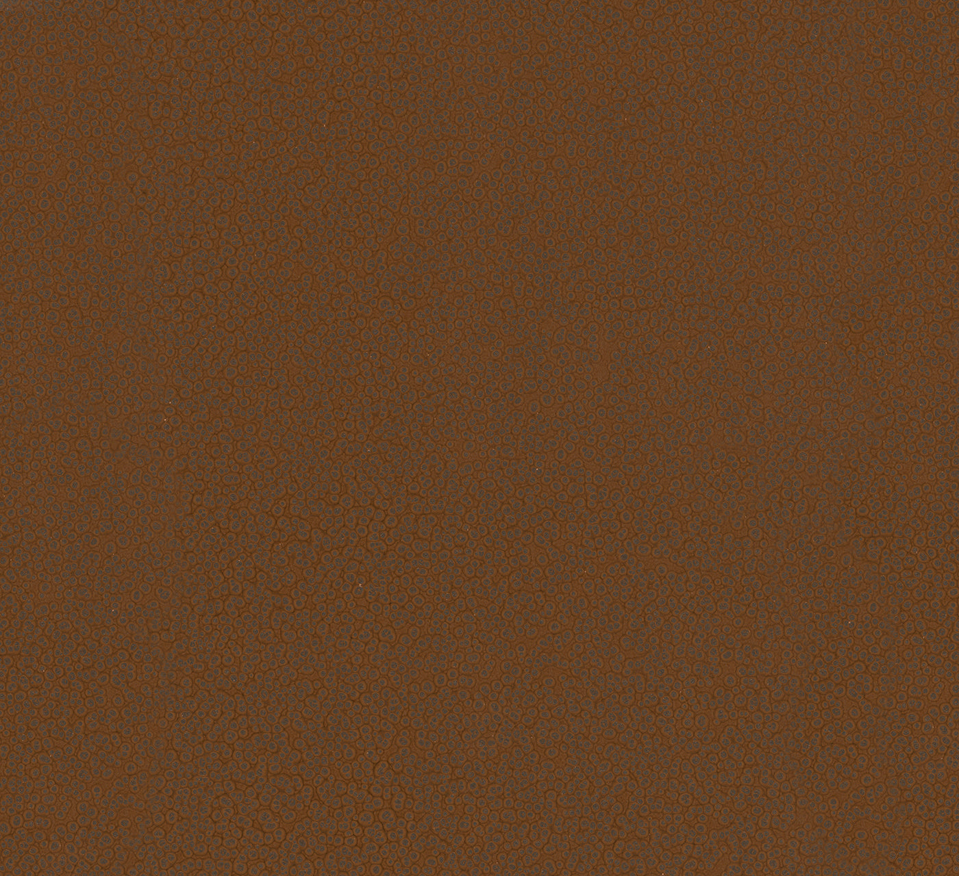 Papier peint à motif Macroscome rouille (Collection Empreinte)