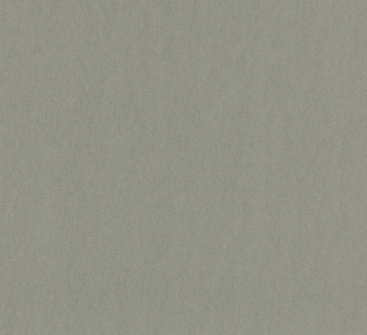 Papier peint effet béton (Collection Empreinte)