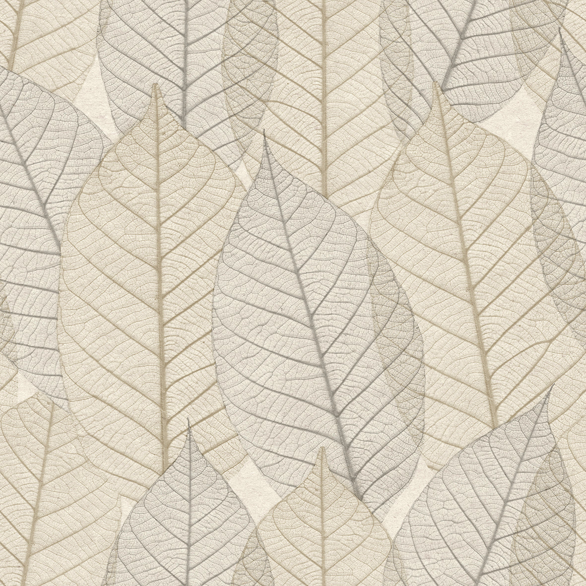 Papier peint trompe l'oeil nature automne Focus feuille (Collection Empreinte)