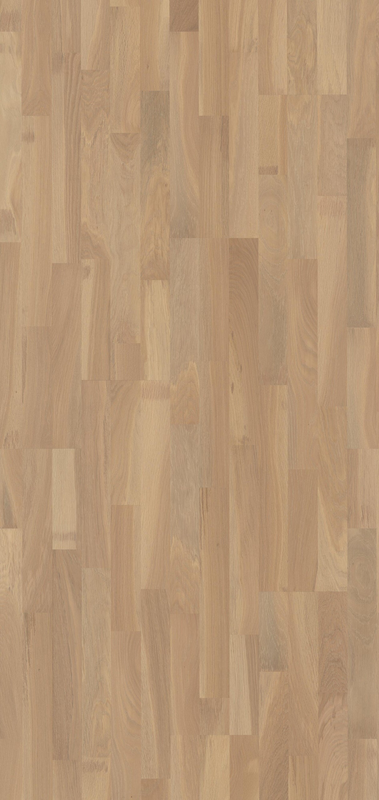 Solbois Concept 3 Frises